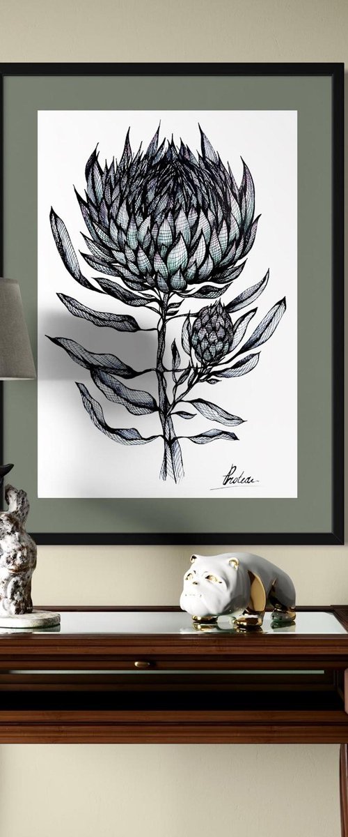 PROTEA FLOWER by Maria Tuzhilkina