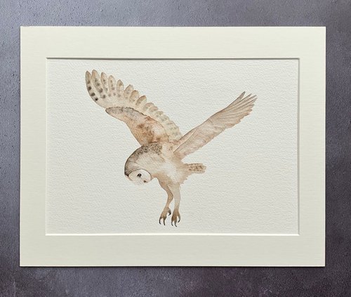 Hunting Owl by Cat Barrett
