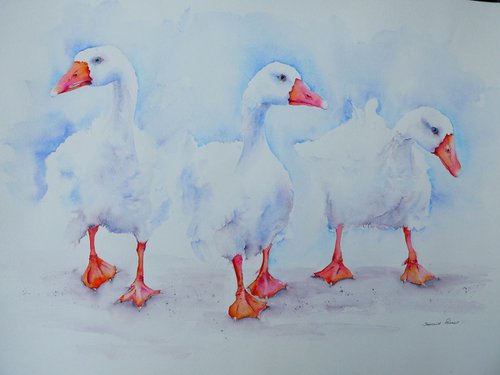 Geese in a Row by Seonaid Parnell