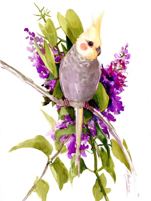 Cockatiel parrot Painting by Suren Nersisyan