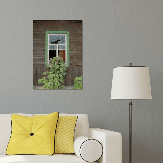 An old window in an abandoned house