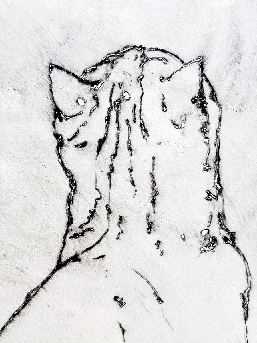 Animal Etchings & Engravings By Randi Antonsen, 13 X 21", Cat, Original Artwork