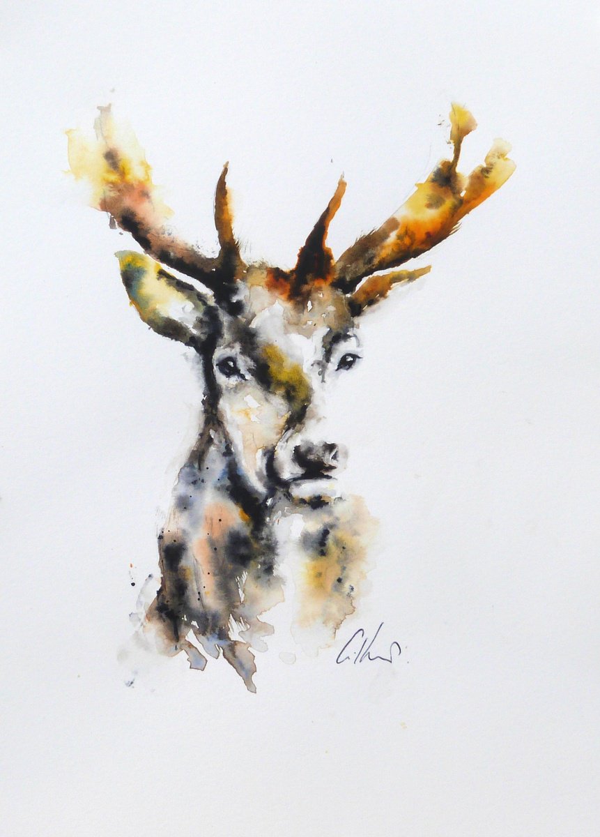 Stag, Lost & Found. by Graham Kemp