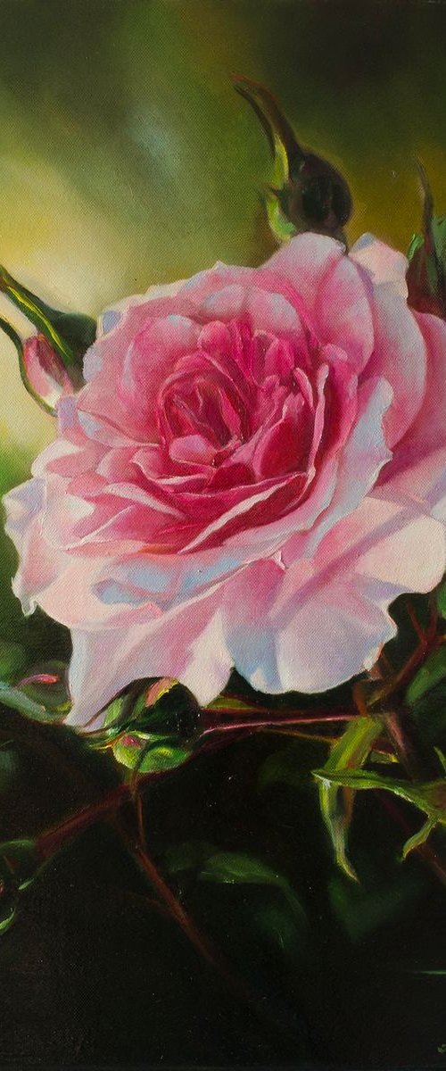 "Secular lioness" pink macro rose flower  liGHt original painting  GIFT (2018) by Anna Bessonova (Kotelnik)