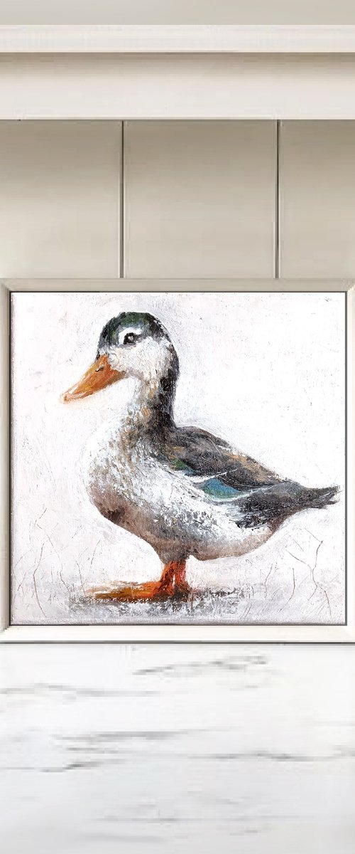 Mallard Duck by Alena Post