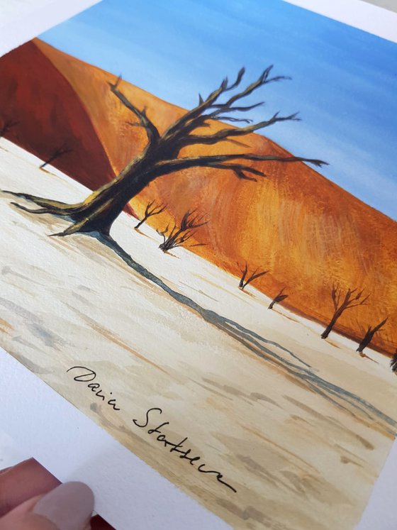 Desert Acacia