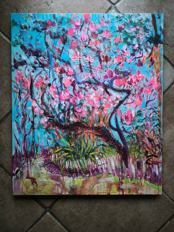 The Long-Awaited Magnolia