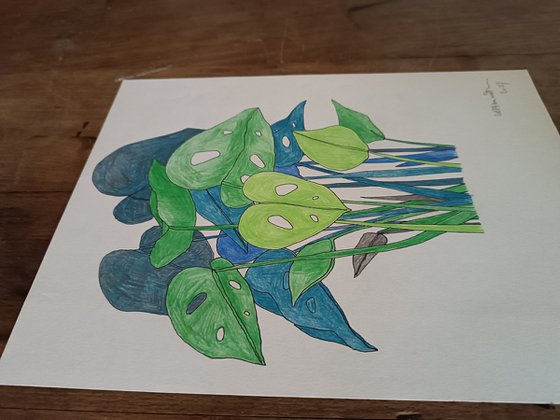 draw 10.0