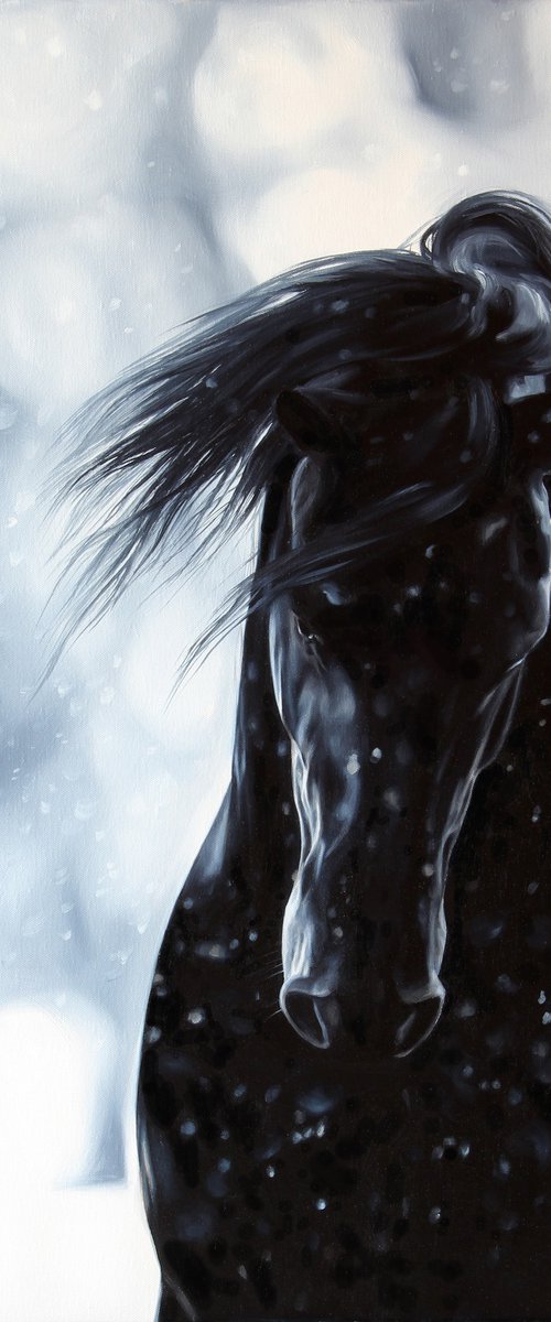 Friesian horse by Marie Madej