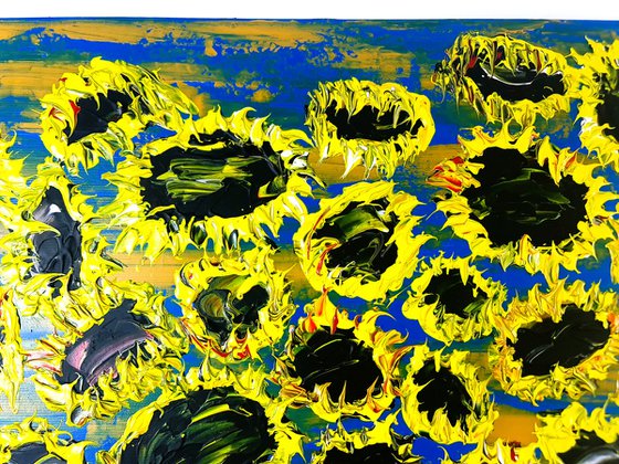 Blooming sunflowers 7