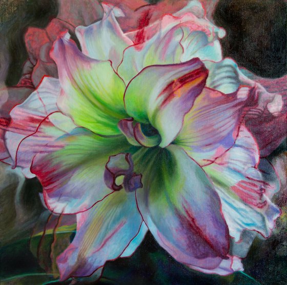 Pink Amaryllis Triptych