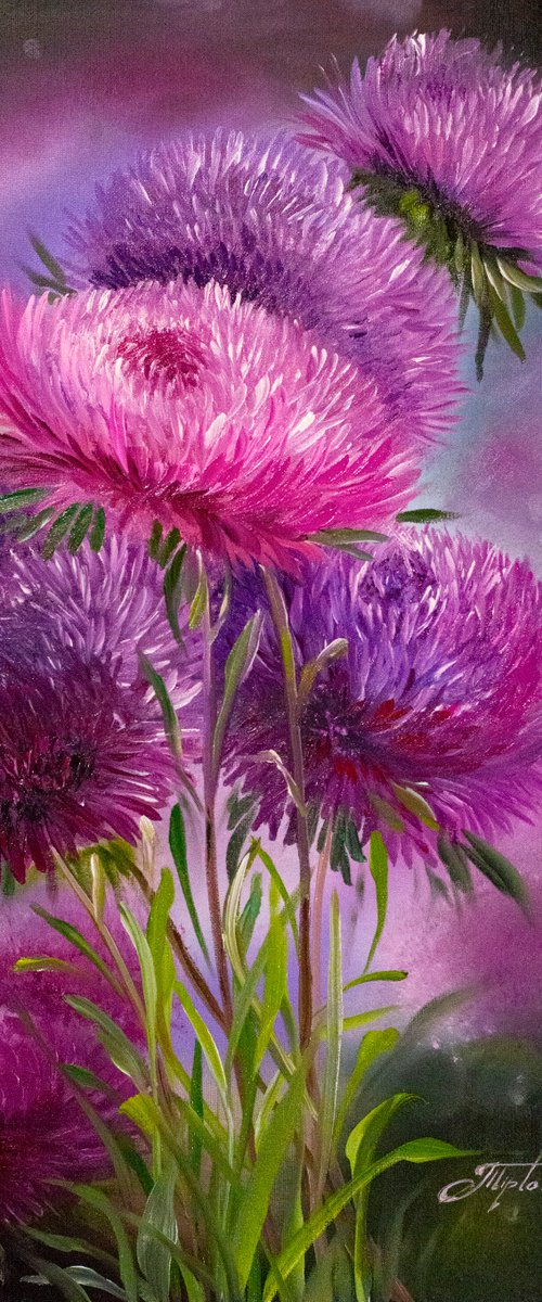 PURPLE ASTERS. Pink and purple flowers. by Tetiana Tiplova