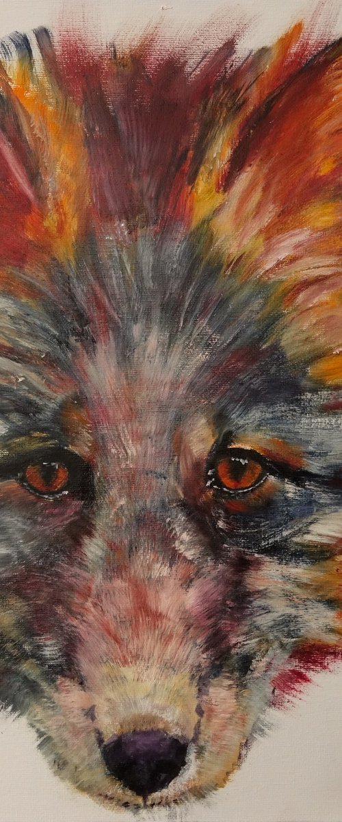 Foxy Face by Marion Derrett