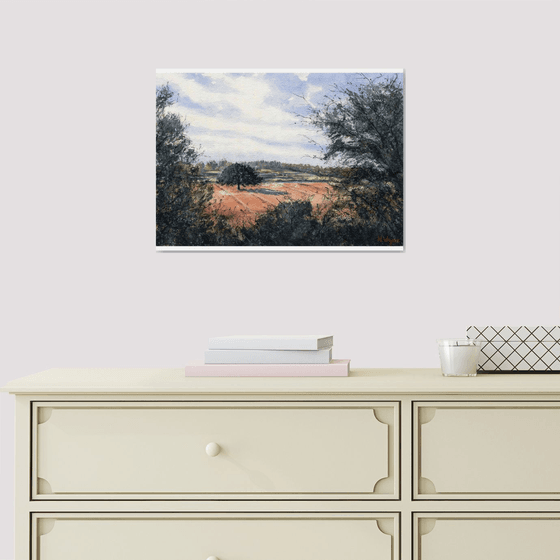 Burnt Orange Field On A Summers Day