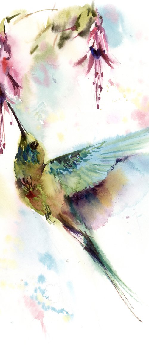Hummingbird by Sophie Rodionov