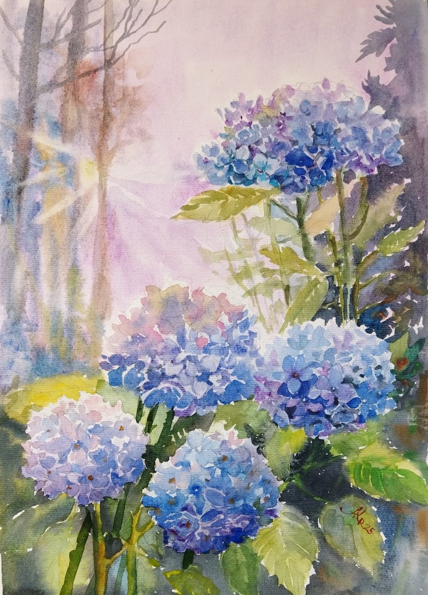 Impressionistic Botanical Watercolour By Ann Krasikova, 11 X 17, Blue Hydrangeas Flowers, Original Artwork