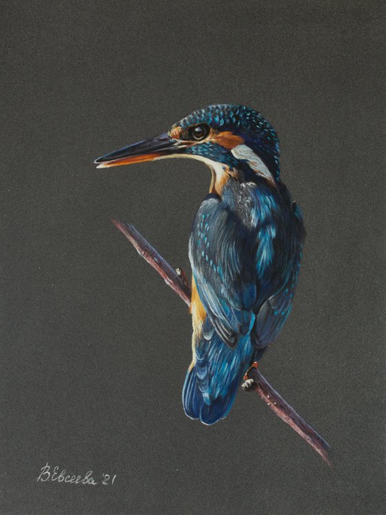 Kingfisher portrait 2