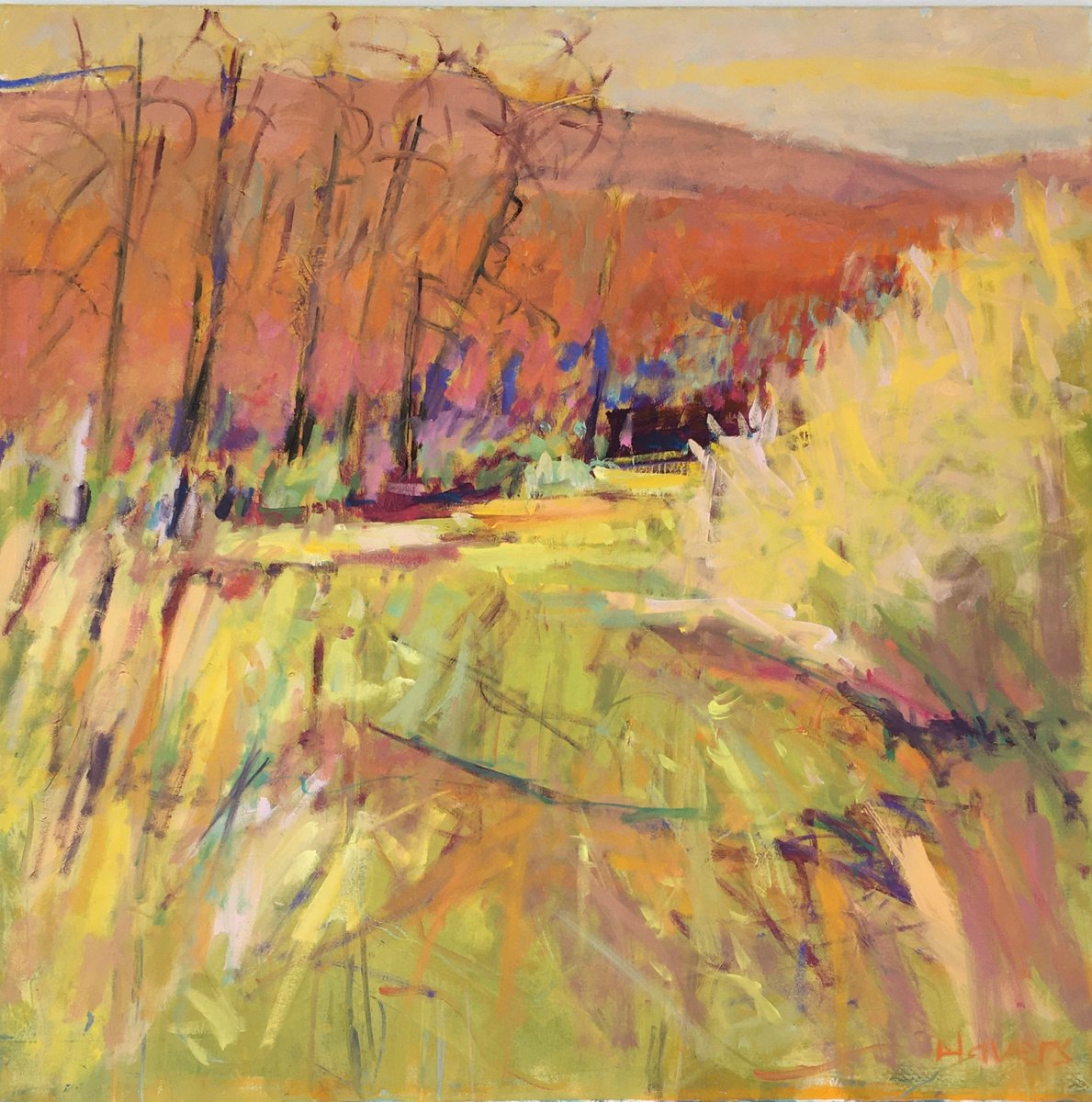 Boggy Grasses in the Wild Garden by Chrissie Havers