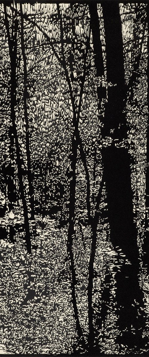 PALE MORNING DUN by David Conn