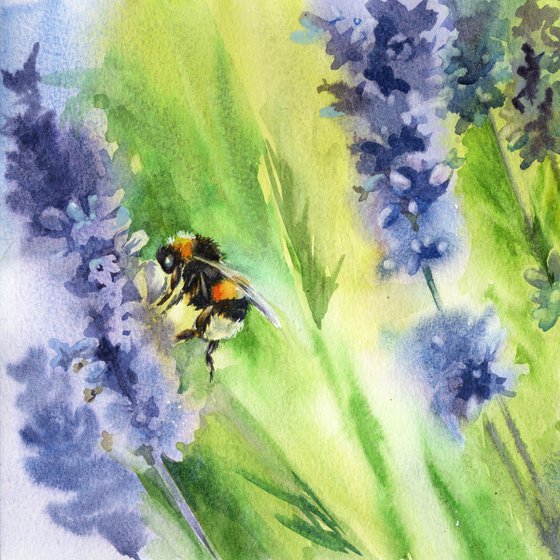 Bumblebee on lavender