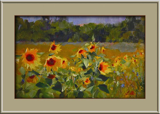 Sunflowers. Study