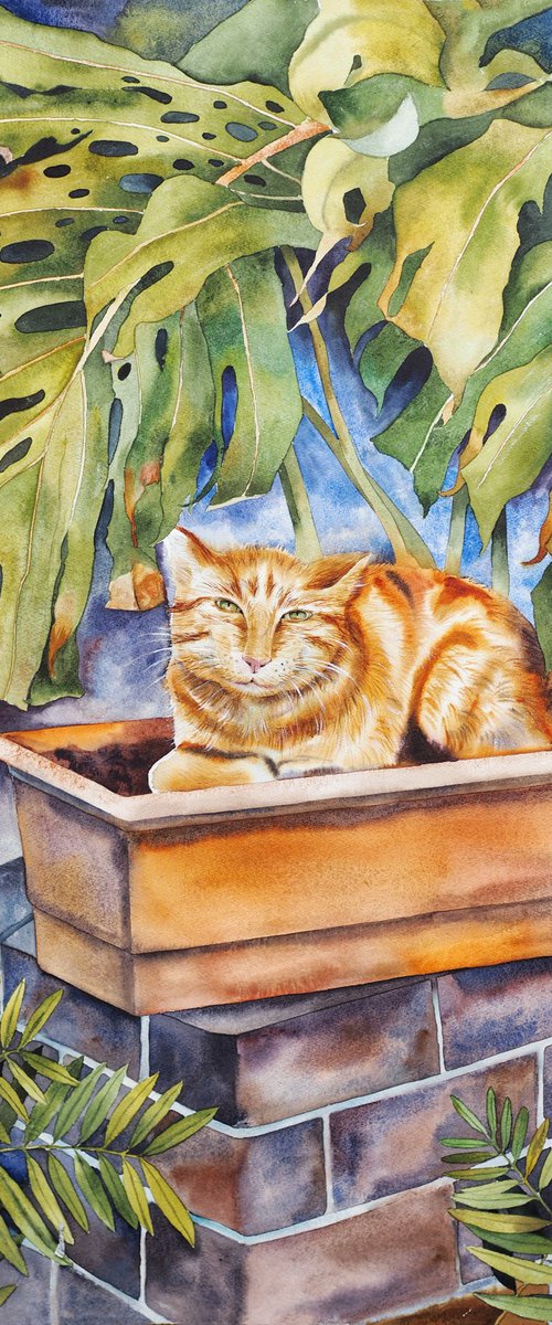 Cat in pot by Delnara El