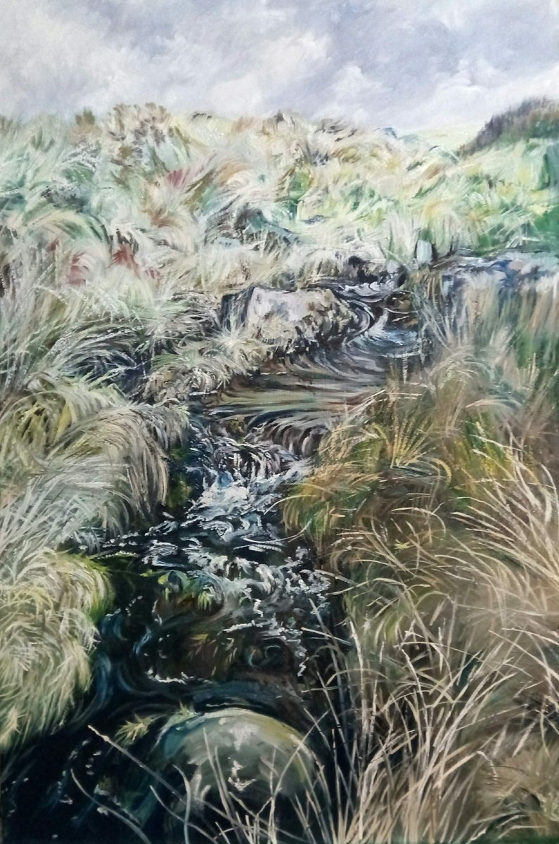Dartmoor Stream by Grant Hunter Wallace
