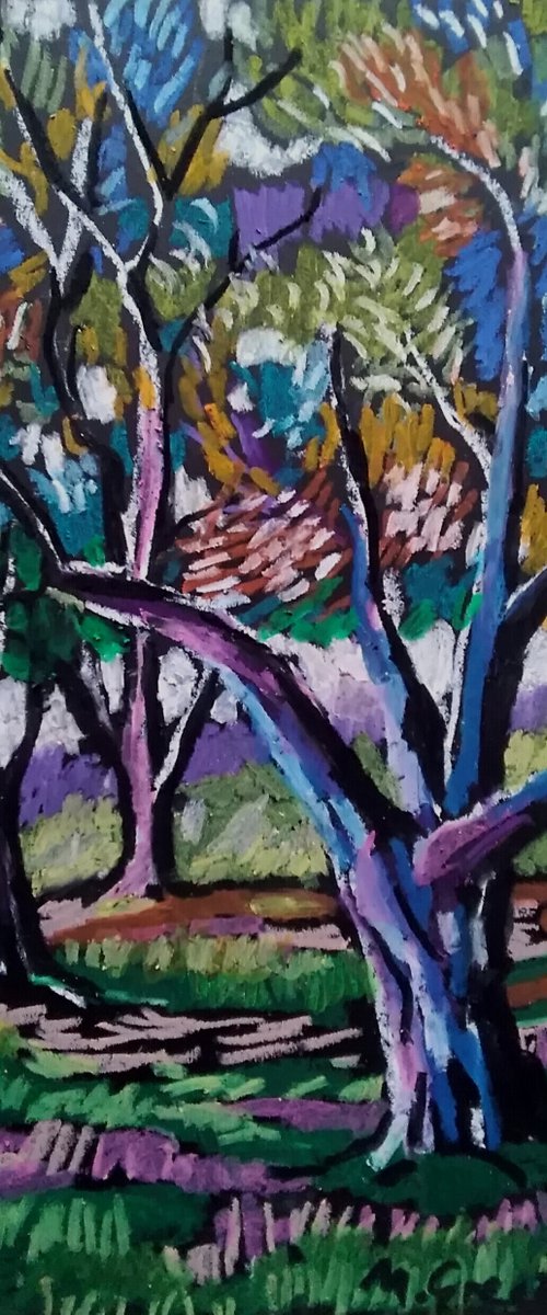 Olive grove No 20 by Maja Grecic