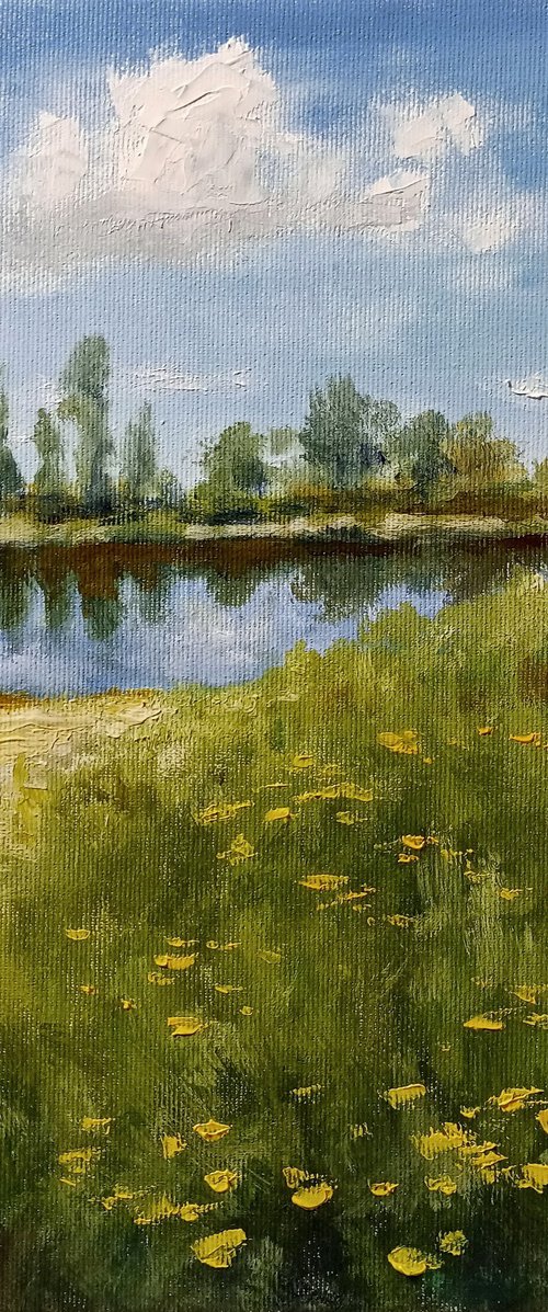 Summer afternoon by Oleh Rak