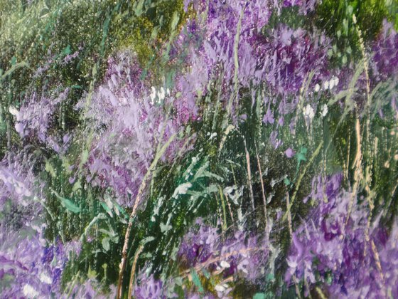 Purple Meadow at Sunrise