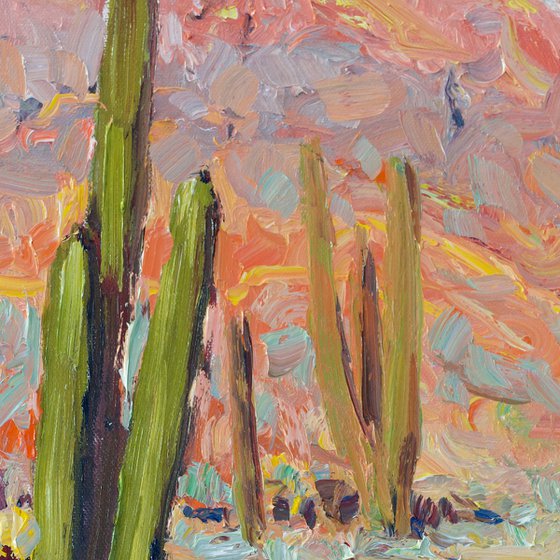 Landscape with a Cactus