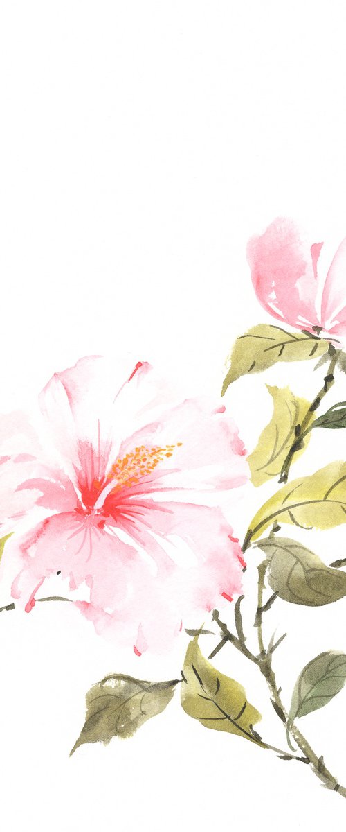 Blushing Hibiscus by Hai Doan