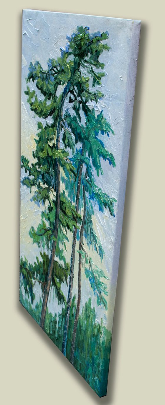 Song of the Pines