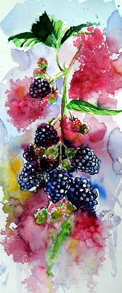 Blackberries by Kovács Anna Brigitta