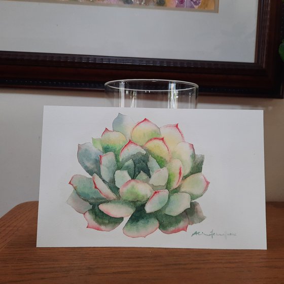 Succulent Art - UK Artist