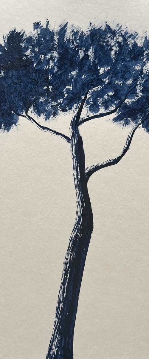 Indigo pinetree by Cadiou Frederic
