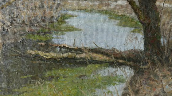 The Old Willow