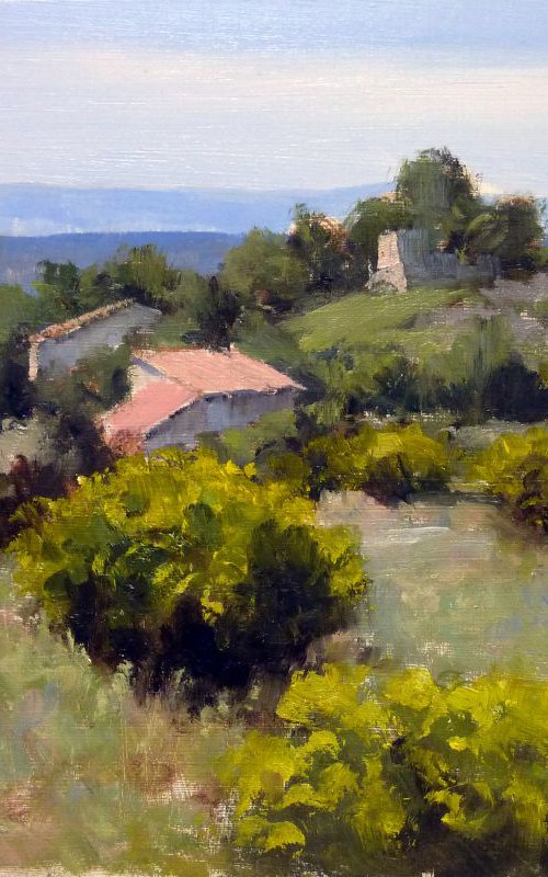 Broom near Forclaquier by Pascal Giroud