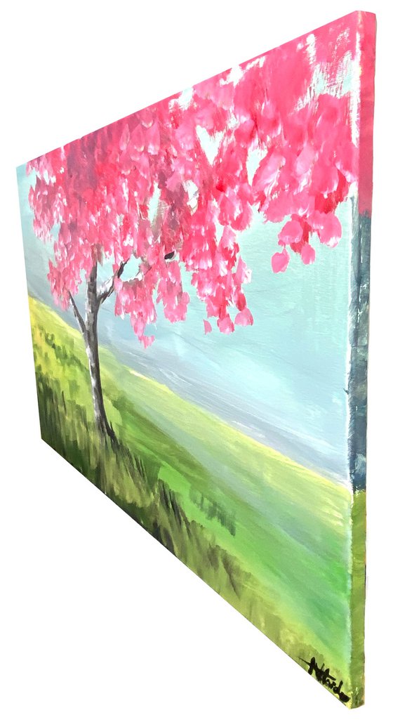 Cherry Blossom Tree