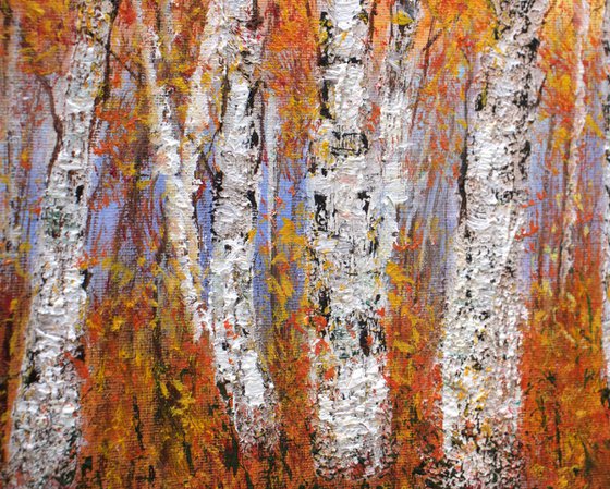 Autumn birch trees