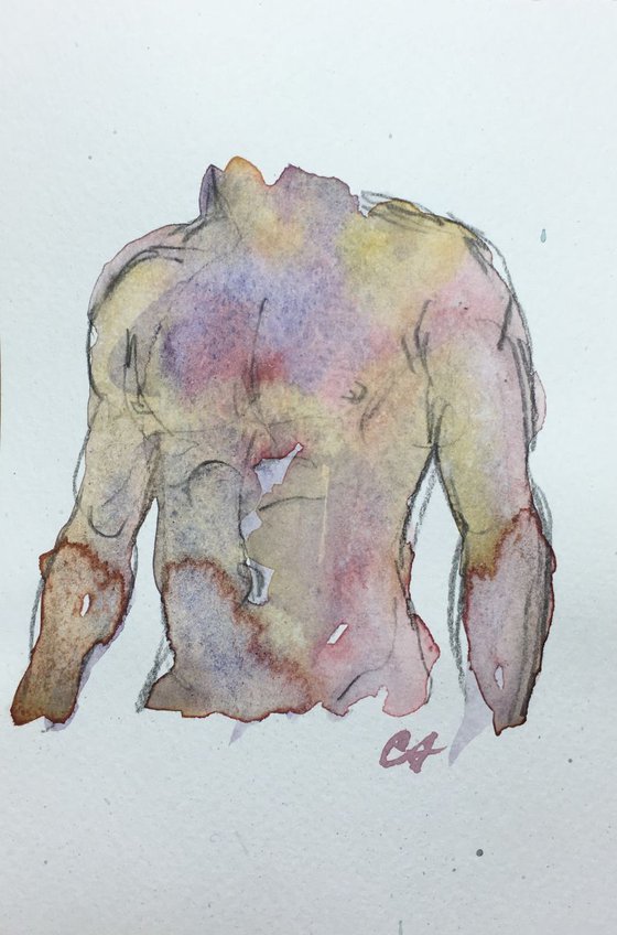 Wet Brush Torso