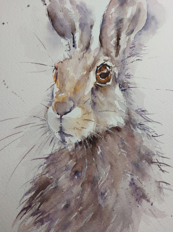 Watercolour Hare