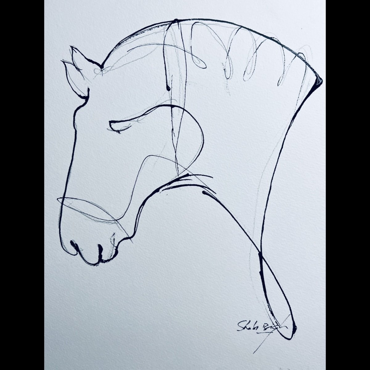 Minimal Horse Head in Ink 2 by Shabs  Beigh