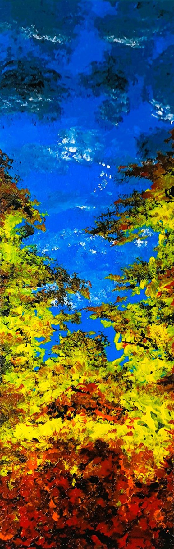 Blue Autumn Sky