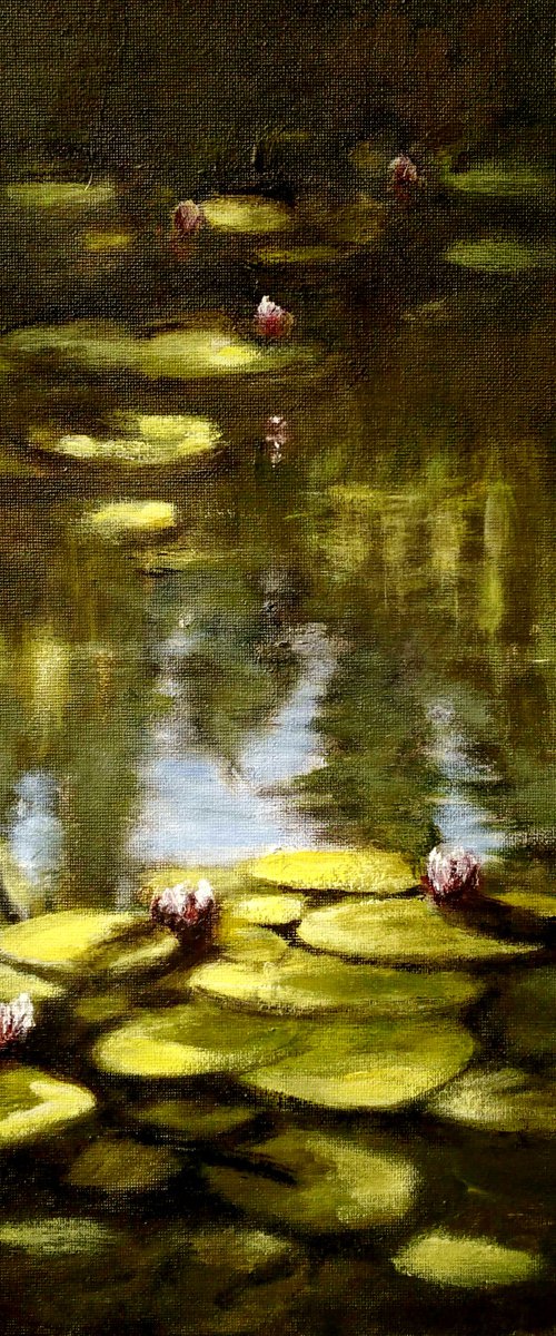Willow Sunlight by Alan Harris