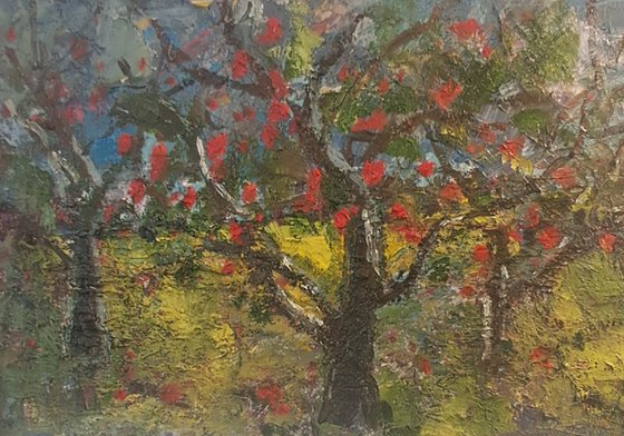 Apple tree