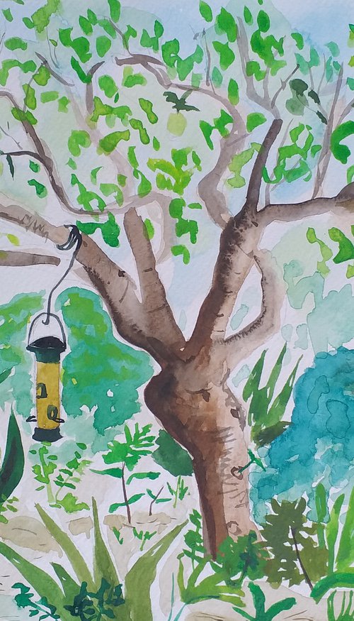 Lemon tree at Villa Mediterraneas by Kirsty Wain