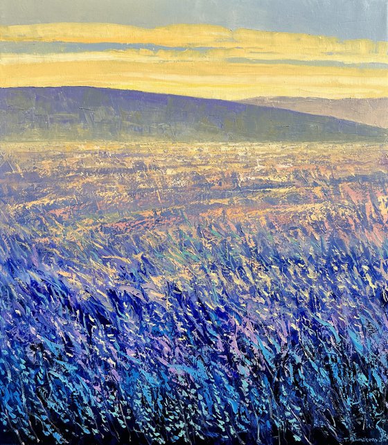 Field at Sunrise III 70x80cm