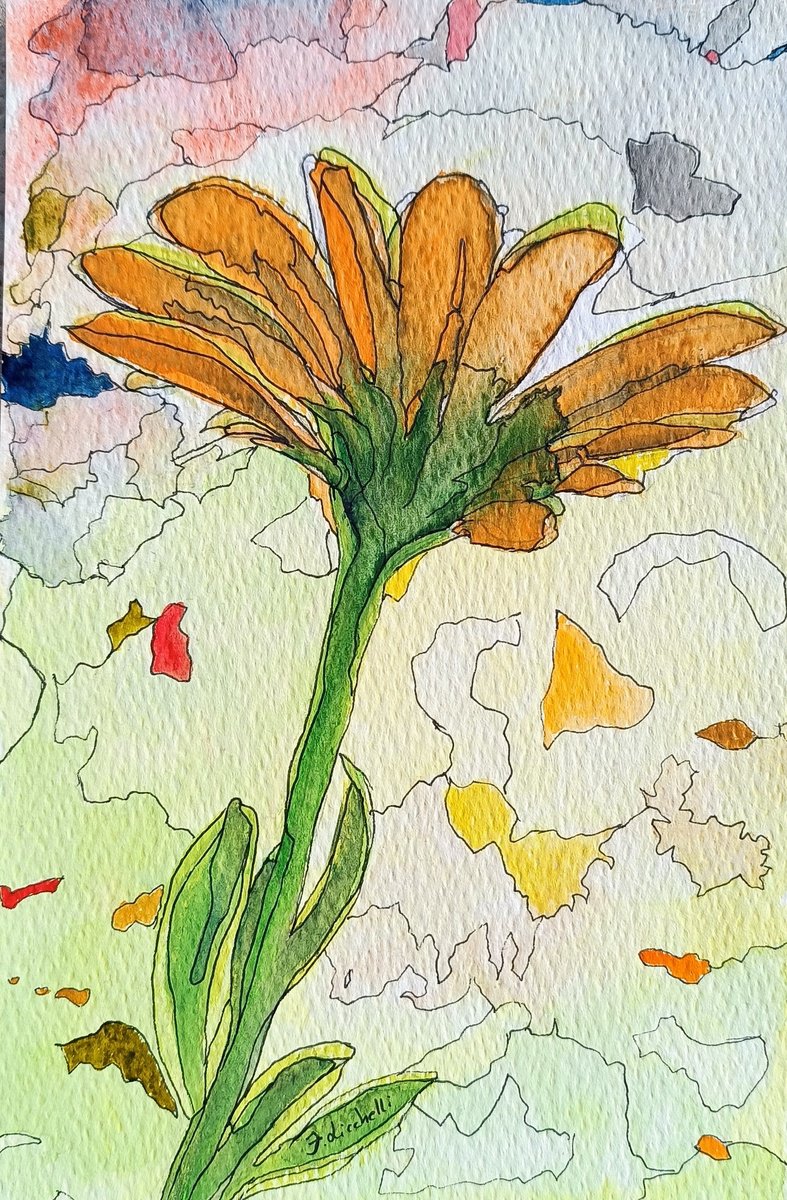 Orange gerbera by Francesca Licchelli