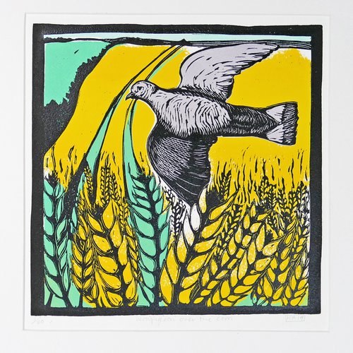 Wood pigeon over the Corn by Keith Alexander